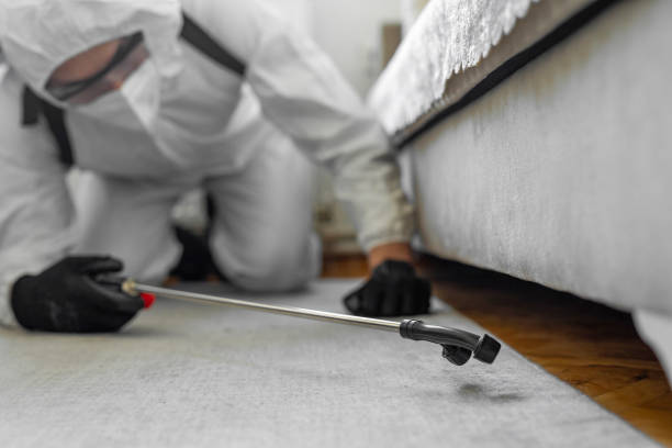 Professional Pest Control technician working in Utah County County, UT